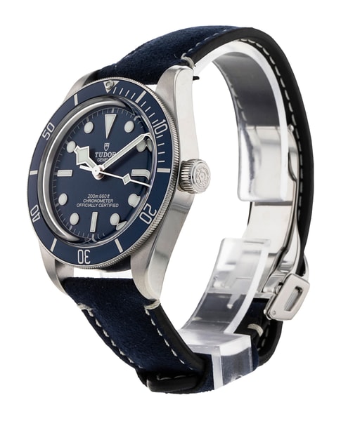 Tudor Black Bay 58 M79030B-0002